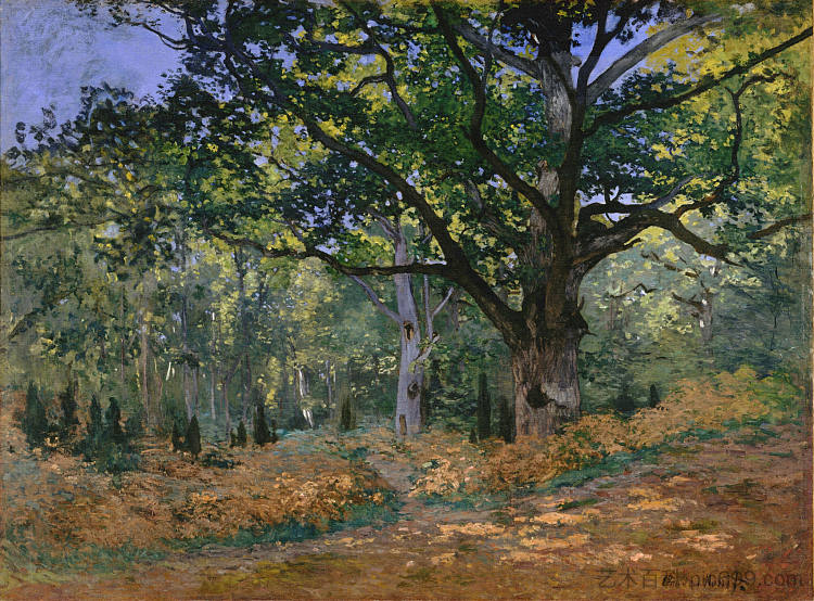 博德默橡树,枫丹白露 The Bodmer Oak, Fontainebleau (1865),克劳德·莫奈