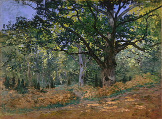 博德默橡树，枫丹白露 The Bodmer Oak, Fontainebleau (1865)，克劳德·莫奈