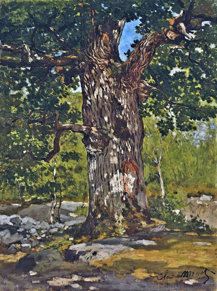 博德默橡树 The Bodmer Oak (1865)，克劳德·莫奈