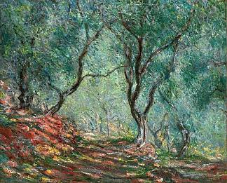 莫雷诺花园的橄榄树林 The Olive Tree Wood In The Moreno Garden (1884)，克劳德·莫奈