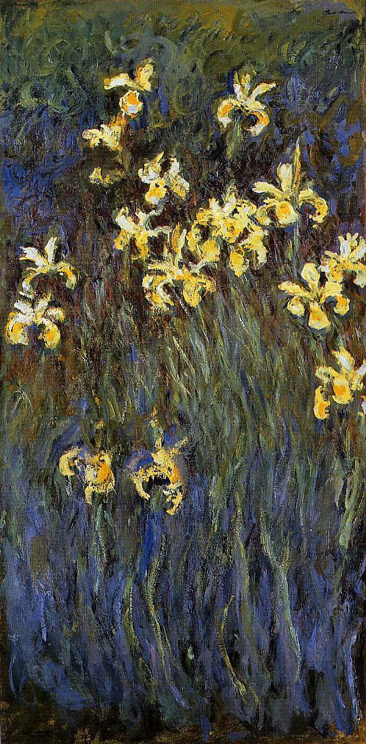 黄虹膜 The Yellow Irises (1914 - 1917)，克劳德·莫奈