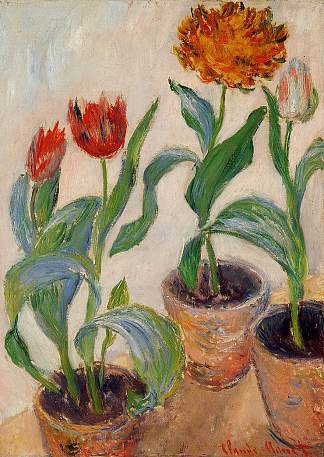 三盆郁金香 Three Pots of Tulips (1883)，克劳德·莫奈