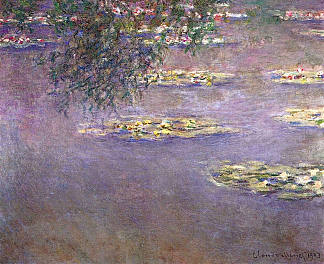 睡莲 Water Lilies (1903)，克劳德·莫奈