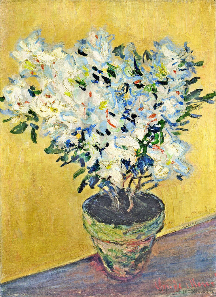 花盆里的白色杜鹃花 White Azaleas in a Pot (1882 - 1885)，克劳德·莫奈