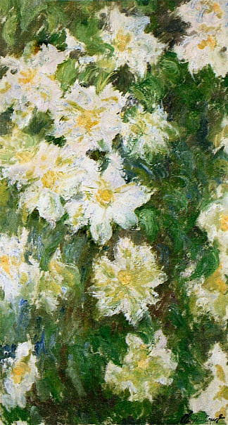 白铁线莲 White Clematis (1887)，克劳德·莫奈