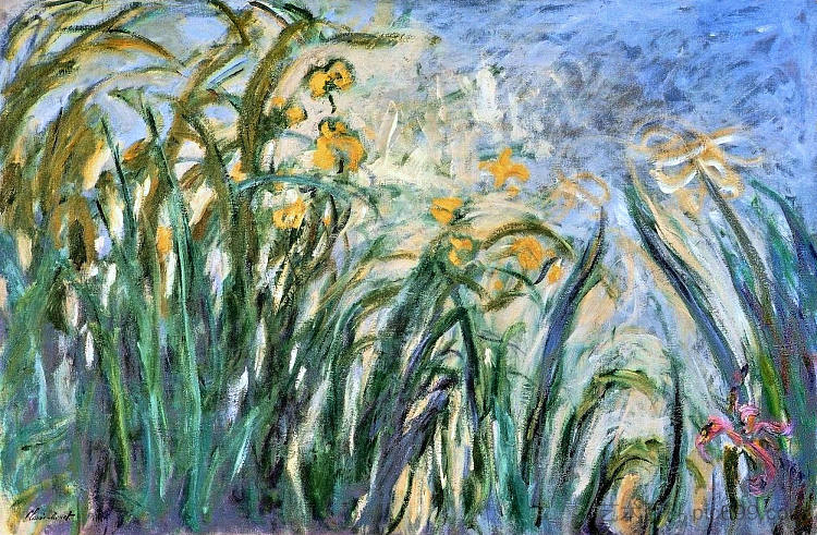 黄鸢尾花和锦葵 Yellow Irises and Malva (1914 - 1917),克劳德·莫奈