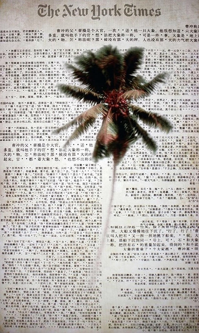 生命证明 Proof of Life (2011; Miami,United States ),克劳迪奥·卡斯蒂略