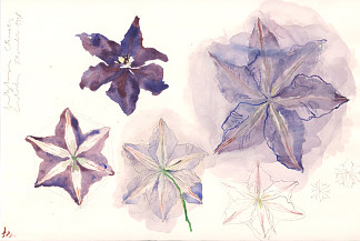 铁柱铁矿 Clematite (1998)，康斯坦丁弗朗多