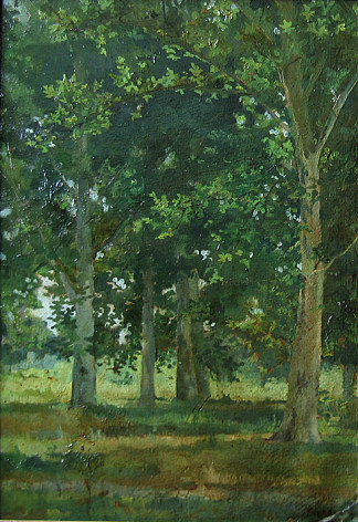 梧桐树 Plane Trees (1952)，康斯坦丁弗朗多