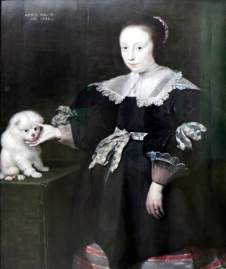 一个十一岁女孩与狗的肖像，穿着西班牙时尚 Portrait of an eleven year old girl with a dog, dressed in Spanish fashion，科内利斯·德·沃斯