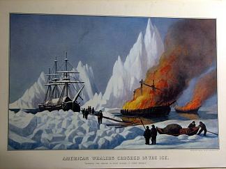 美国捕鲸者在冰中被压碎 American Whalers Crushed in the Ice，柯里尔与艾夫斯