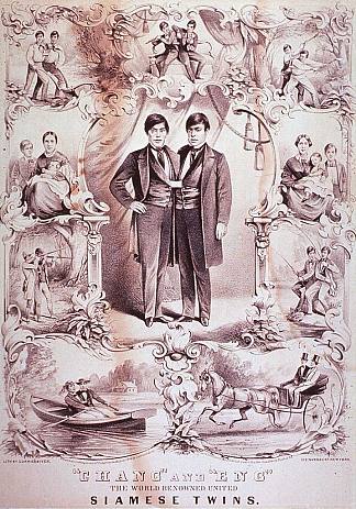 世界著名的联合暹罗双胞胎 The World Renowned United Siamese Twins (1860)，柯里尔与艾夫斯