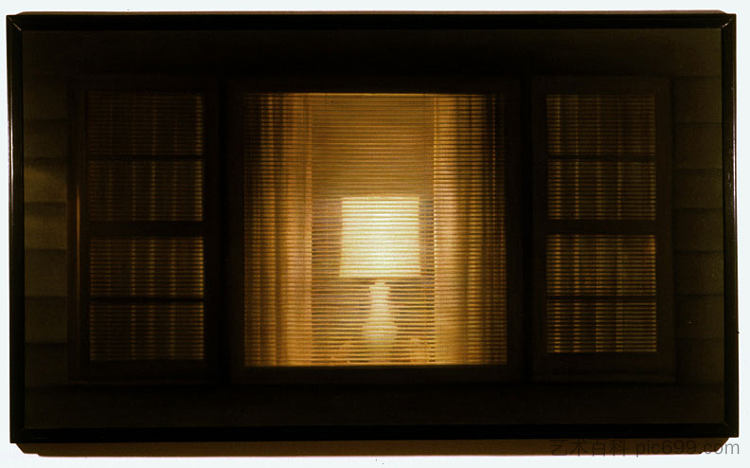 窗户上的灯 Lamp in window (2003)，丹·维茨