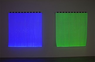照片纪念品：电动单色 – 蓝色 B2 和绿色 B3，工作地点 Photo-souvenir: Monochrome électrique – Bleu B2 & Vert B3, travail situé (2012)，丹尼尔·布伦