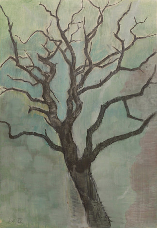 树 19 Baum 19 (2015)，丹尼尔·桑博-里希特