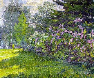 公园里的丁香花 Lilac in the park (1910)，戴维·伯克