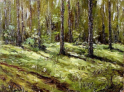 夏季森林 Summer forest (1906; Ukraine  )，戴维·伯克