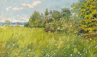 夏季草地 Summer meadow，戴维·伯克