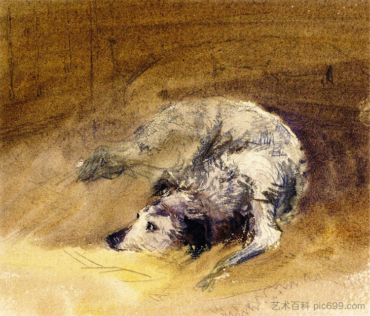 狗的研究 Study of a Dog (1849)，戴维·考克斯