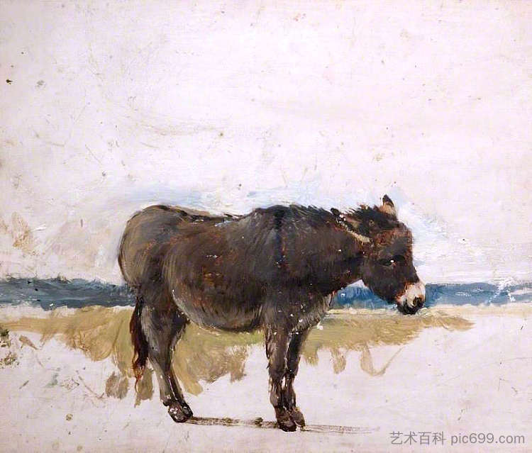 研究一头驴 Study of a Donkey (1843)，戴维·考克斯