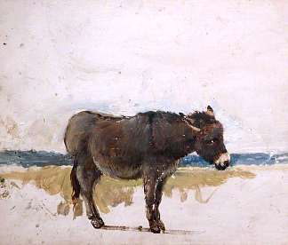 研究一头驴 Study of a Donkey (1843)，戴维·考克斯