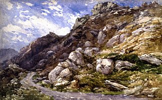 贝特斯-伊-科德附近的景色 View near Bettws-y-Coed (1846)，戴维·考克斯