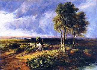 风、雨和阳光 Wind, Rain and Sunshine (1845)，戴维·考克斯