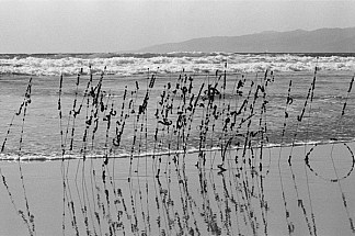 头发和电线，威尼斯海滩 Hair and Wire, Venice Beach (1977)，戴维·哈蒙斯