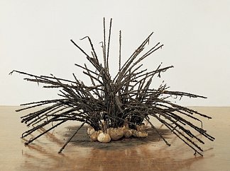 无题 Untitled (1992)，戴维·哈蒙斯