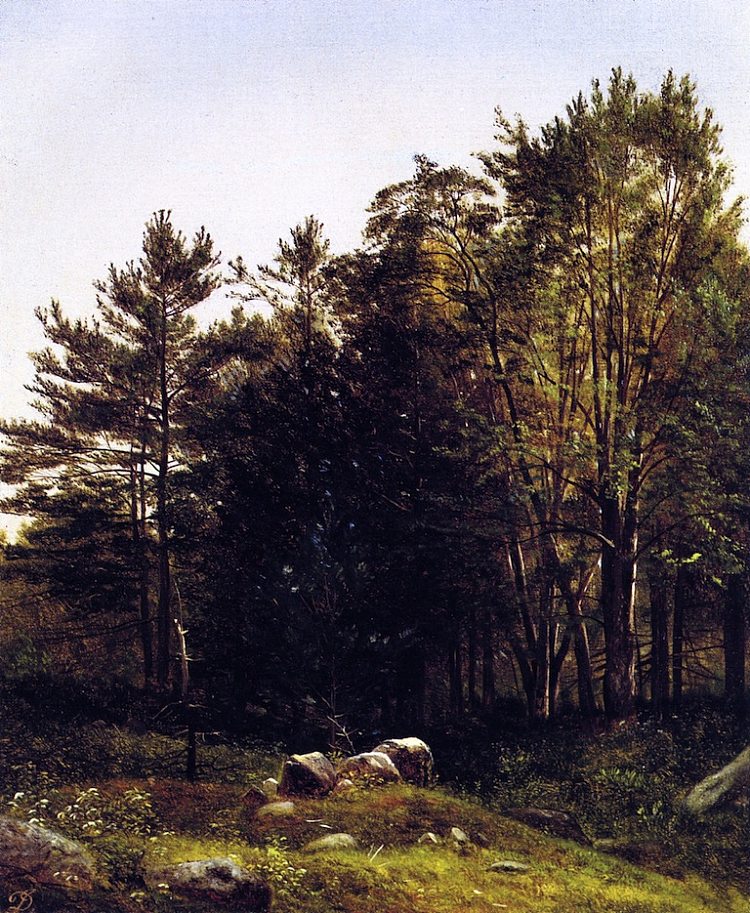 新罕布什尔州塔姆沃思附近的研究 A Study near Tamworth, New Hampshire (1863)，大卫·约翰逊