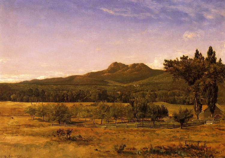 乔科鲁阿山， 新罕布什尔州 Mount Chocorua, New Hampshire (1851)，大卫·约翰逊