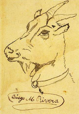 山羊头 Head of a Goat (c.1905)，迭戈·里维拉