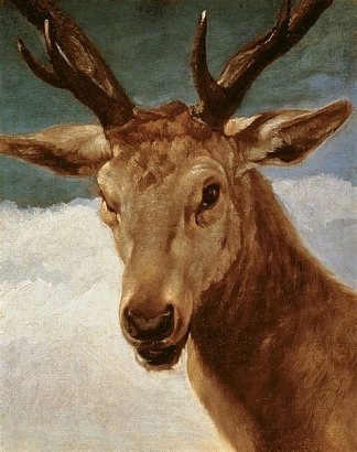 雄鹿头 Head of a Stag (1634)，迭戈·德·席尔瓦·委拉斯开兹