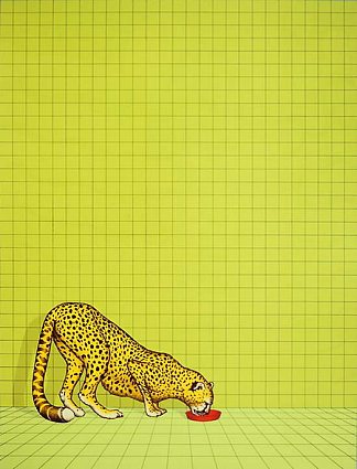 猎豹 Gepard (1978)，迪特阿斯穆斯