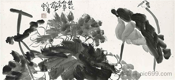 鸟和莲花 Bird and Lotus，丁彦勇