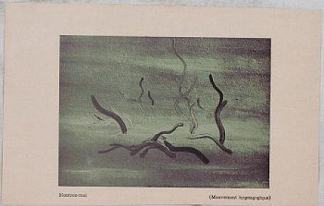 ?（催眠运动） ? (Hypnagogic Movement) (1945)，多尔菲特罗斯特