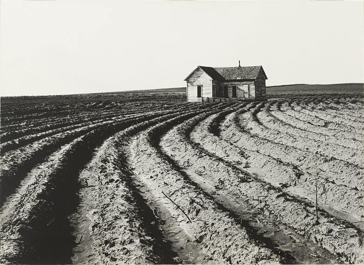 拖车，德克萨斯州柴尔德雷斯县 Tractored Out, Childress County, Texas (1938)，多萝西娅·兰格