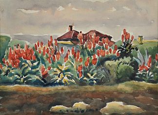 红热扑克，仙人掌和屋顶 Red Hot Poker, Cacti and Rooftop，多里特·布莱克