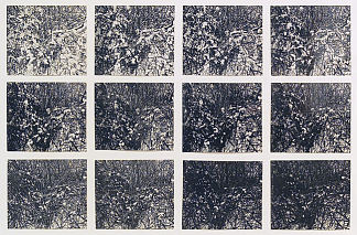 持续时间 #11 Duration Piece #11 (1969)，道格拉斯·胡埃贝勒