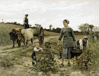 葡萄园的一角，朗格多克 Corner of the vineyard, Languedoc (1886; France                     )，爱德华·德巴·蓬桑