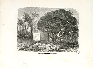 Hammam-bou-ghrara（即Hammam-boughrara） Hammam-bou-ghrara (i.e. Hammam-boughrara) (1862)，爱德华·里欧