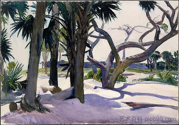 富丽海滩,查尔斯顿,南卡罗来纳州 Folly Beach, Charleston, South Carolina (1929),爱德华·霍普
