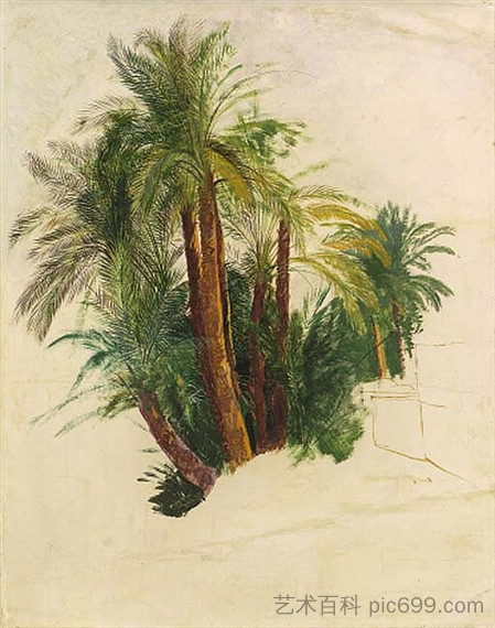 棕榈树研究 Study of palm trees，爱德华·里尔