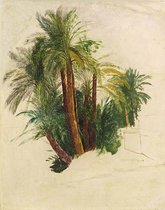 棕榈树研究 Study of palm trees，爱德华·里尔