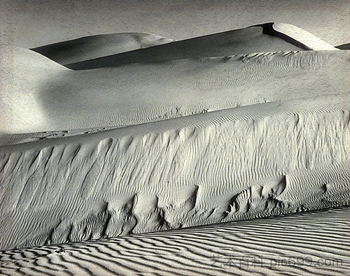 白色沙丘，大洋洲 White Dunes, Oceano (1936)，爱德华·韦斯顿