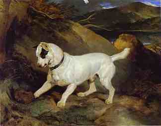 乔科与刺猬 Jocko with a Hedgehog (1828)，埃德温·兰西尔