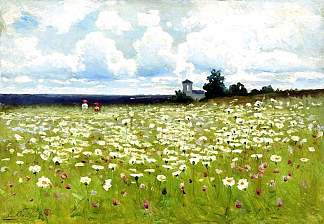 雏菊领域 Field of Daisies，埃菲姆沃尔科夫