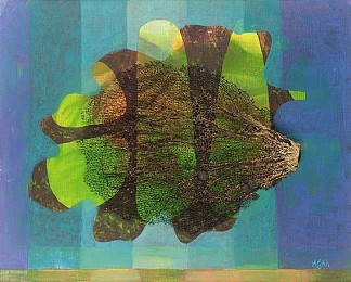 海藻拼贴 Seaweed Collage，艾林·阿加尔