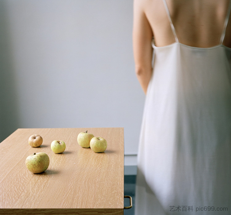 模型研究 12 Model Study 12 (2002 - 2008),艾琳娜兄弟