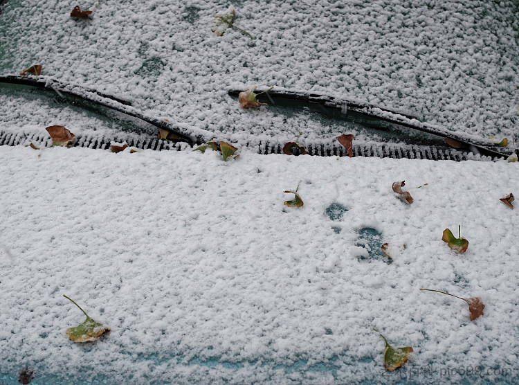 纽约雪 NYC Snow (2011 - 2015),艾琳娜兄弟